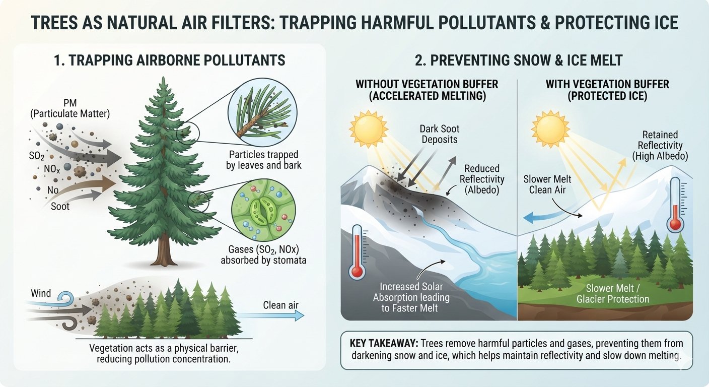 Trapping Harmful Pollutants - Green trees and vegetation filtering air pollution and soot particles